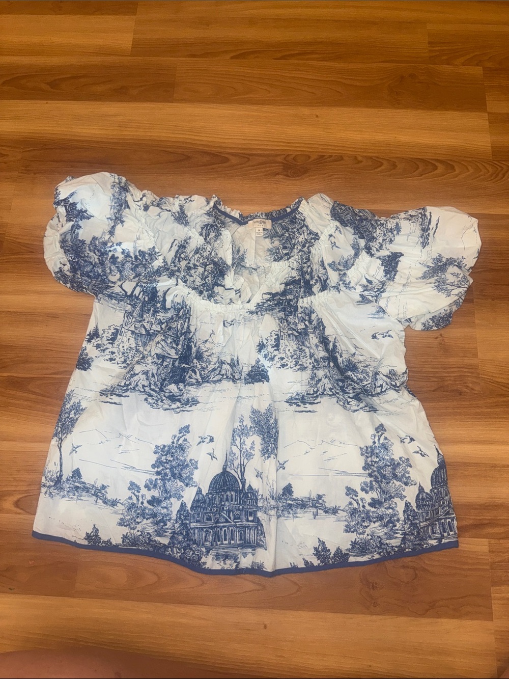Umgee White Top with Blue Scenic Print and Puff Sleeves